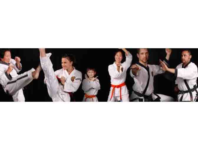 Tae Kwon Do lessons #3
