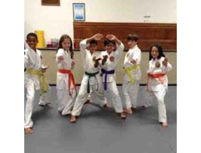Tae Kwon Do lessons #4