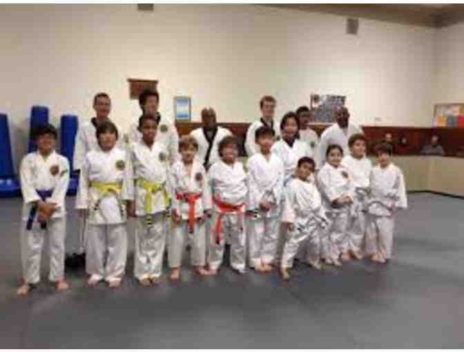 Tae Kwon Do lessons #4