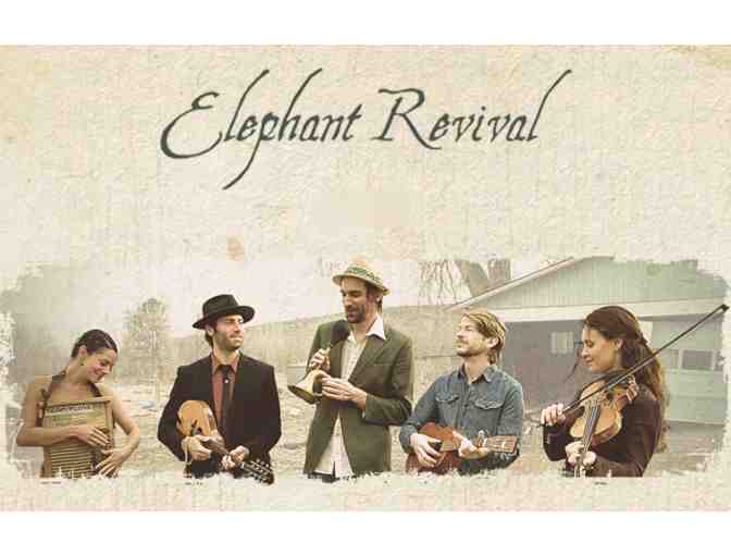 3 CDs from Elephant Revival: a blend of music and social consciousness