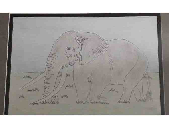 Elephant pencil drawing by a young elephant lover