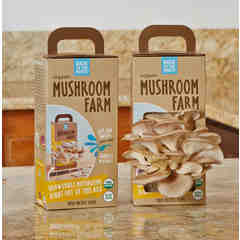 Back To The Roots Mushroom Farm