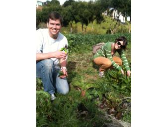 Come Experience Urban Farming with Global Exchange Staff in San Francisco