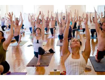 At the Yoga Tree - Marin & SF