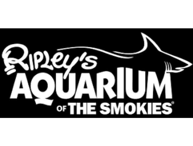Ripley's Aquarium of the Smokies Admission for Two - Photo 2