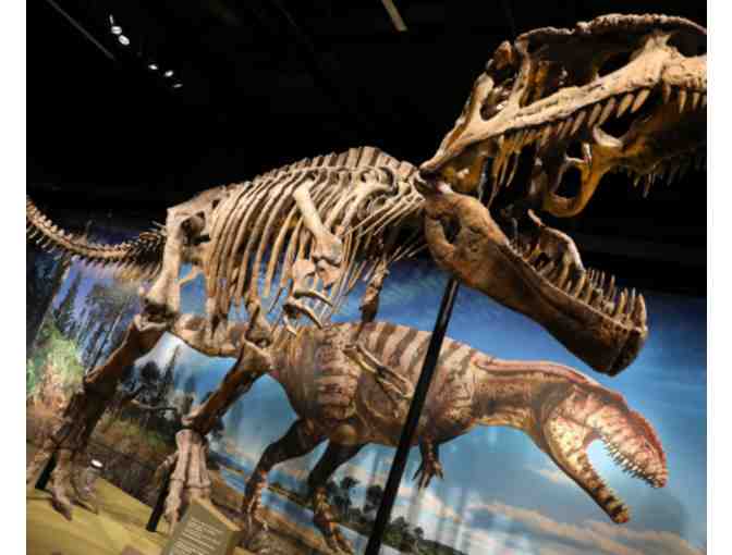 Beatrice & Woodsley + Denver Museum of Nature & Science Package