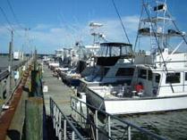 Eight Hours on One of Rock harbors Finest Sport Charter Boats