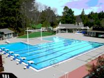 Meadow Swim & Tennis Club, Orinda: One Membership