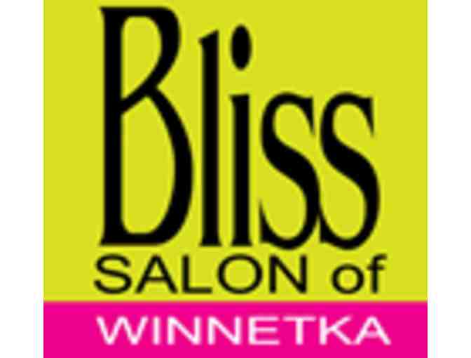 Bliss Salon of Winnetka Blowdry & Manicure - Photo 1