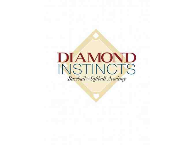 Diamond Instincts Baseball & Softball Academy - Photo 1