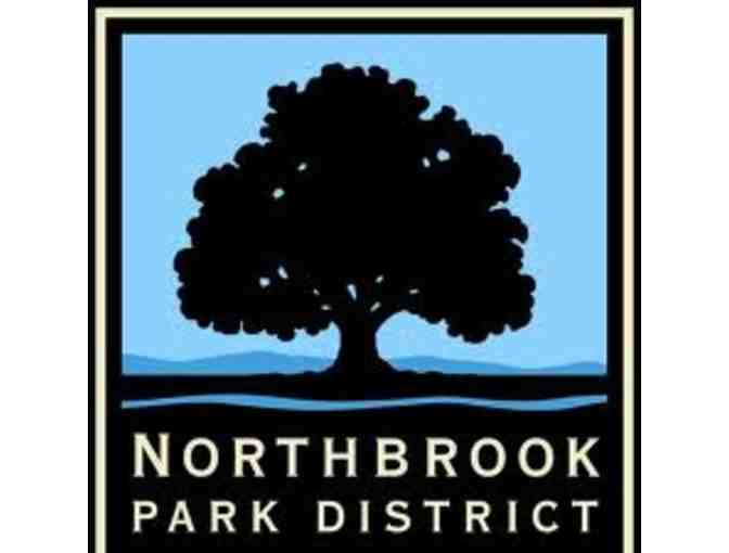 Northbrook Park District -  4 Theatre Passes - Photo 1