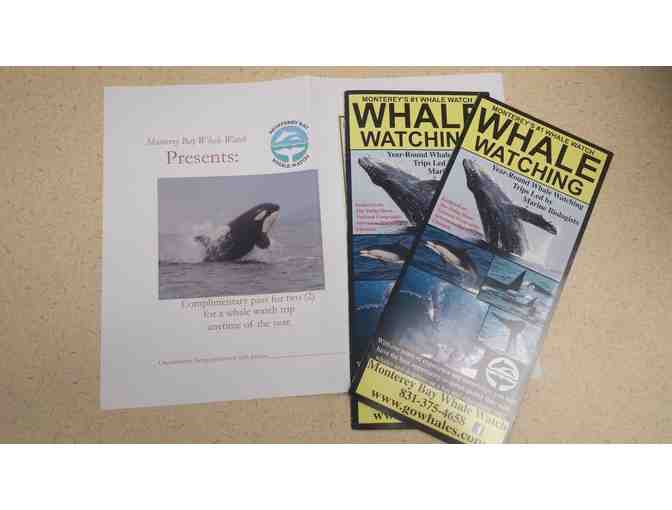 Monterey Bay Whale Watching plus Piedmont Grocery Gift Card