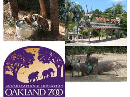 Oakland Zoo - Behind the Scenes