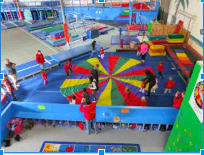 One Month Membership-Bay Island Gymnastics