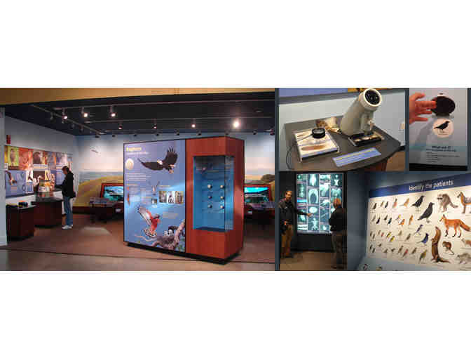 Lindsay Wildlife Experience - 4 Guest Passes