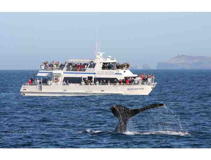 Island Packers Pass to Anacapa or Santa Cruz