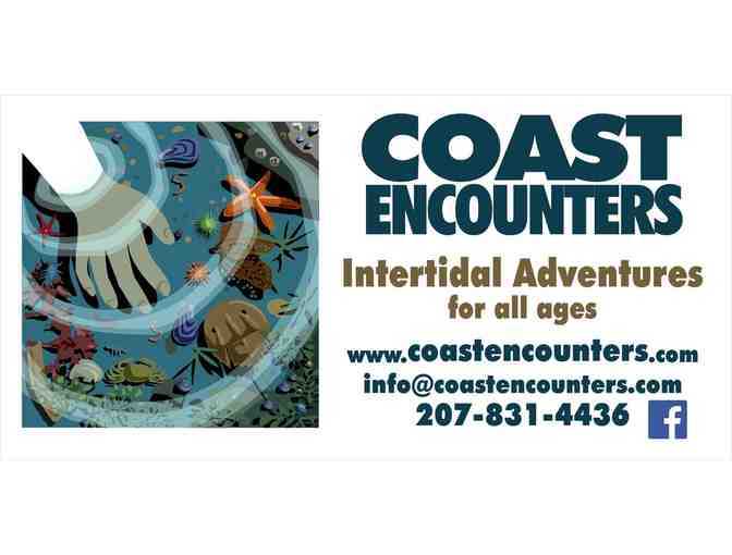 3 hour Tidepool Excursion for 4 from Coast Encounters