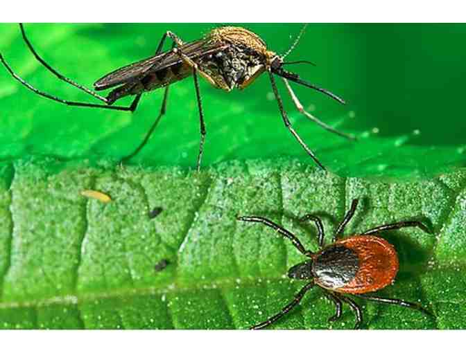 $250.00 Gift Certificate for Southern Maine Mosquito & Tick Control services