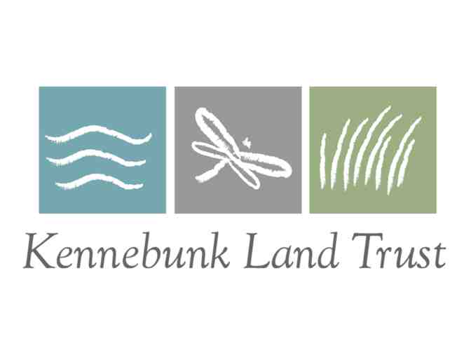 One hour guided walk through a Kennebunk Land Trust property
