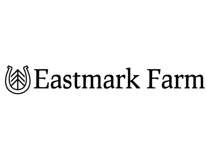 Introductory One Hour Lesson at Eastmark Farm