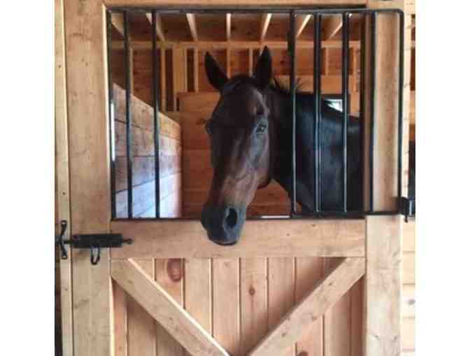 Introductory One Hour Lesson at Eastmark Farm