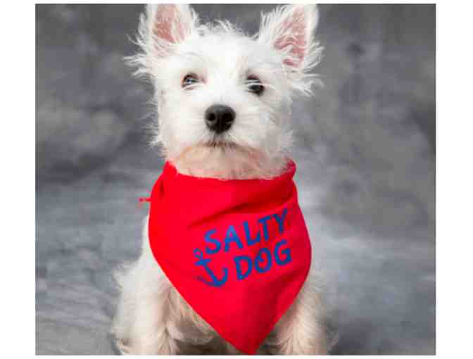 Salty Dog Party Collection donated by Properly Posh Pets
