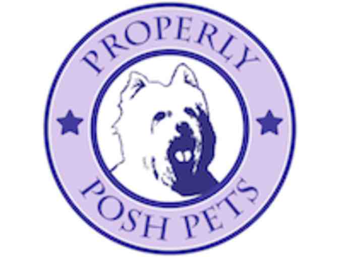 Salty Dog Party Collection donated by Properly Posh Pets