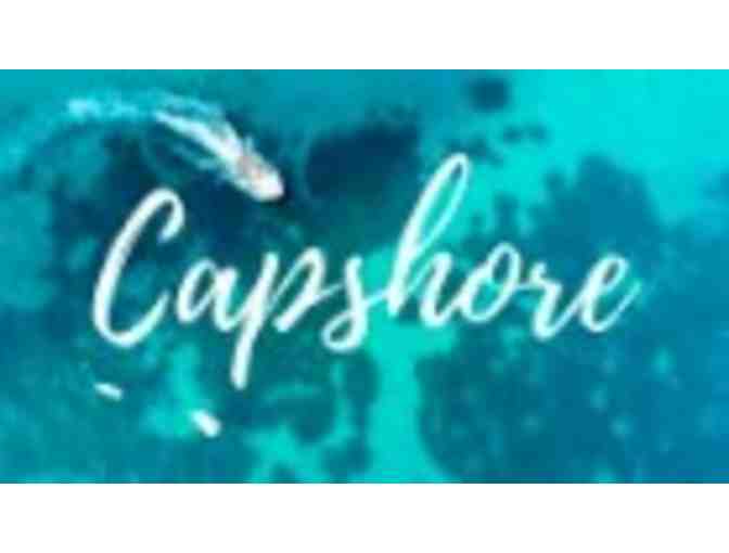 'Hope in the Snow' 8x10 Print donated by Capshore Photography