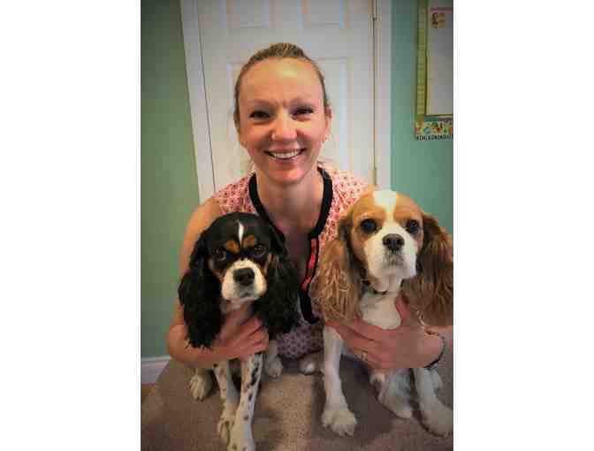 $50 Gift Certificate to Kennebunk Veterinary Hospital