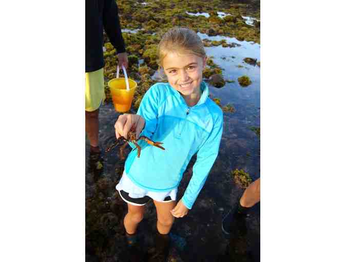 3 hour Tidepool Excursion for 2 from Coast Encounters