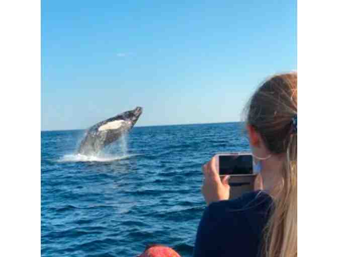 $50 Gift Certificate to New England Eco Adventures