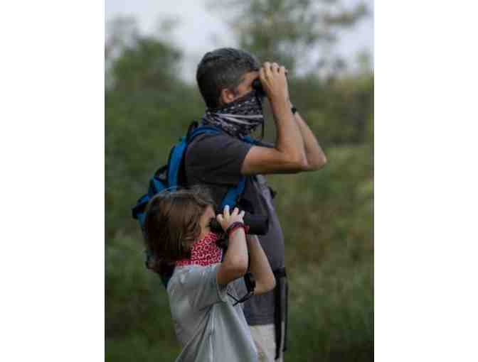 Guided Birding Walk for eight through Hope Woods