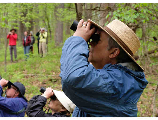 Guided Birding Walk for eight through Hope Woods - Photo 1