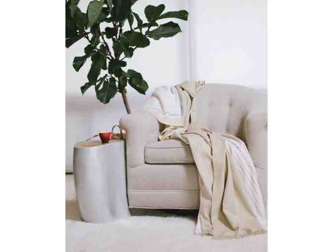 Diwan Throw donated by Well-Housed