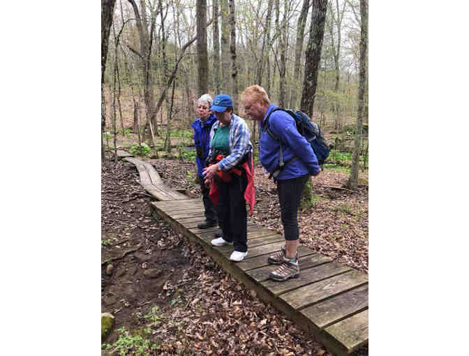 Guided Nature Walk for four through the Arundel Conservation Trust