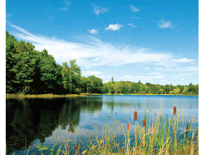 Naturalist walk at Alewive Woods preserve with Kennebunk Land Trust