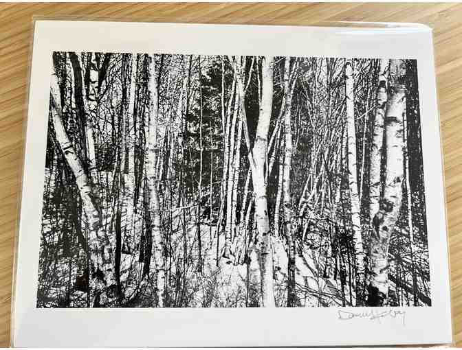 Phosart Photography by Donna M Kabay courtesy of Beach Grass