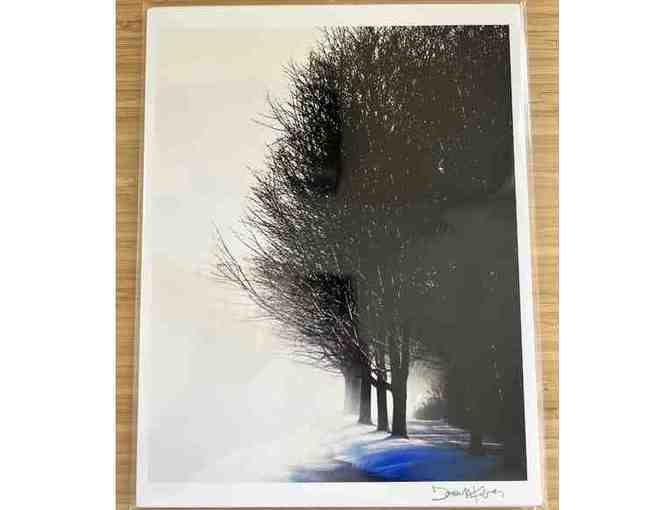 Phosart Photography by Donna M Kabay courtesy of Beach Grass