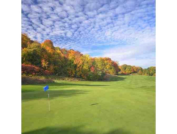 Foursome - Chedoke GC (Bedoe Course) with Carts Included