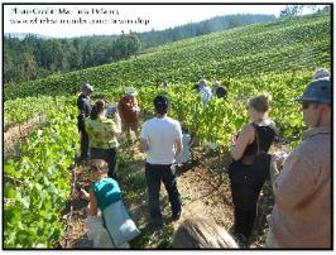 Phelps Creek Vineyards Wine Tasting & Tour for Six