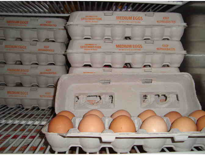 BUY IT NOW! Fund a Week's Worth of Eggs! (7 Cases) for the Food Pantry - Photo 1