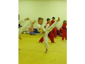 Martial Arts - Membership & Classes