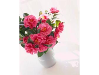 Pamper Yourself Package!