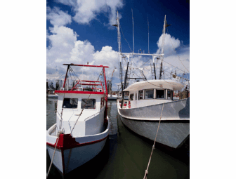 Fishing Charter for 5 - Lake Michigan, Holland, MI