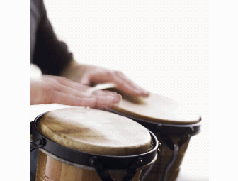 Tickets - Family Pass - Hope College Great Performance Series 2010-2011