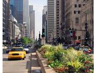 Jet Trip for 6 - Holland, MI to Chicago -Shopping, Entertainment, Summer Fun