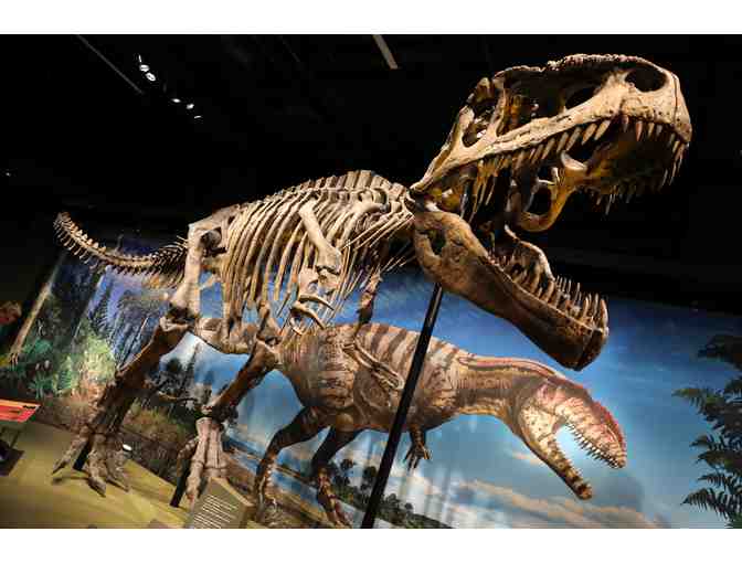 Denver Museum of Nature and Science Tickets (x4)
