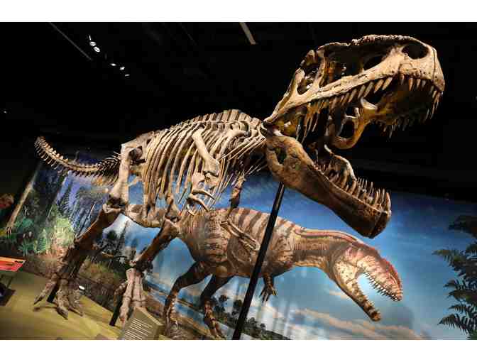 Denver Museum of Nature and Science Tickets (x4)