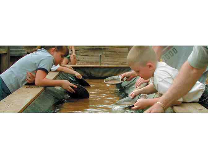 Ghost Town Museum Family Pass