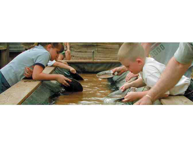 Ghost Town Museum Family Pass